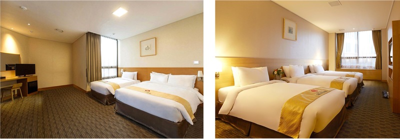 Hotel Skypark Central Myeongdong